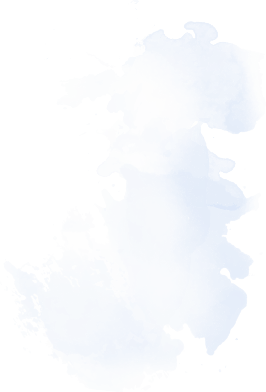 Software Consultancy